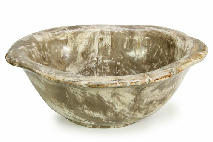 Petrified Wood (Tropical Hardwood) Bowl - Indonesia #351990